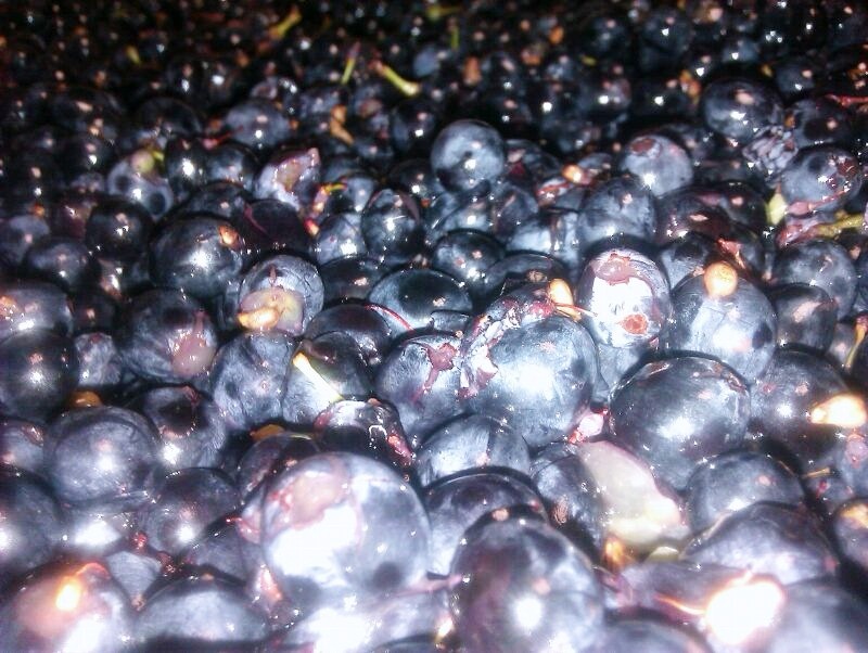 Alberto_Pedrón_Bobal_2012